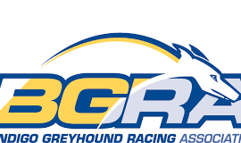 Bendigo Greyhound Racing Association Trial Update