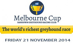 BGRA MELBOURNE CUP NIGHT PROMOTIONS (21st November 2014)