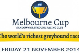 BGRA MELBOURNE CUP NIGHT PROMOTIONS (21st November 2014)