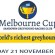 BGRA MELBOURNE CUP NIGHT PROMOTIONS (21st November 2014)