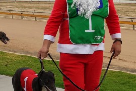 CHRISTMAS EVE AT BENDIGO GREYHOUNDS