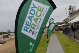 Ready 2 Race Update: Mid Year Bonus Race Nears