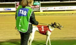 FERNANDO HEATS UP WINTER IN BENDIGO