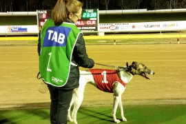 FERNANDO HEATS UP WINTER IN BENDIGO