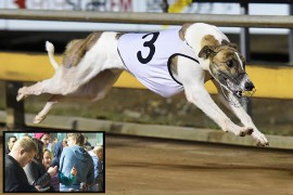 Video: Fernando Bale Fans Flock to Lords Raceway for Bendigo Cup