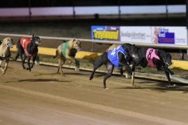 North-East Wrap: Feature racing at Bendigo