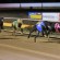 North-East Wrap: Feature racing at Bendigo