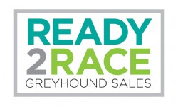 Ready 2 Race heat replays available