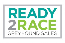 2015 Ready To Race catalogue available now online