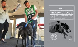 READY 2 RACE: Every sale listed