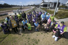 Bendigo Adoption Day finds new homes for 20 greyhounds