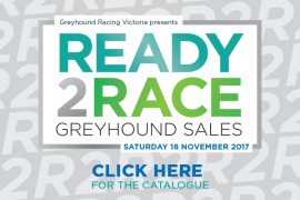 Check out the 2017 Ready 2 Race catalogue