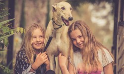 GAP Adoption Day – Bendigo