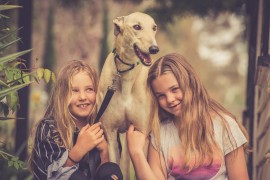 GAP Adoption Day – Bendigo