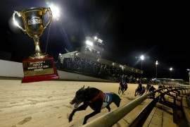 Fields are out for the 2018 Triple M Bendigo Cup heats