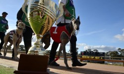 TAB specials: James Van de Maat and Troy Harley Bendigo Cup night Multis