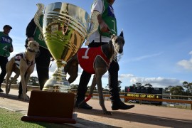 Bendigo Cup Heats – as good as it gets