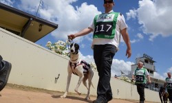 2018 Ready 2 Race series underway at Bendigo