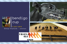 2019 Bendigo Cup