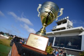 The Inside Word: 2019 Triple M Bendigo Cup