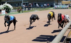 Ready 2 Race Sales: Another big day out at Bendigo