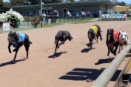 Ready 2 Race Sales: Another big day out at Bendigo