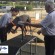 COVID-19: Changes to operational procedures around greyhound racing integrity