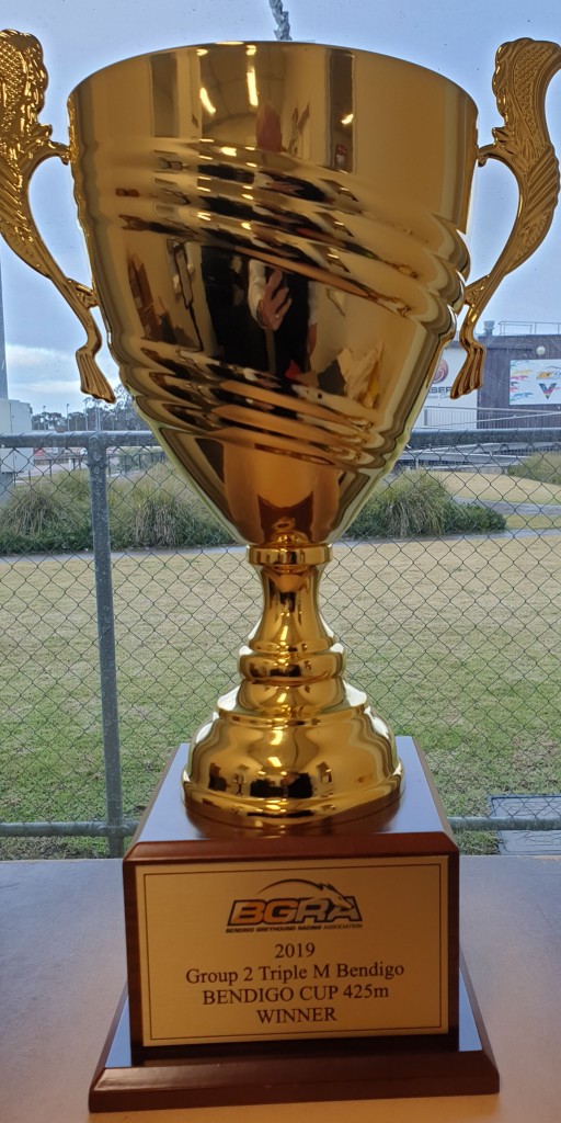 2020 Bendigo Cup Background image