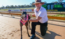 Bendigo’s shining light