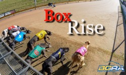 “Box Rise” – episode 3