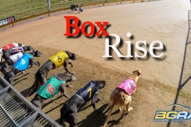 Box Rise – episdode 4