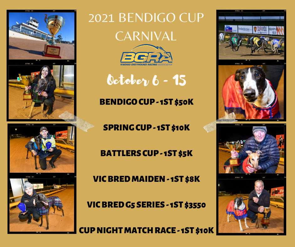 2021 Bendigo Cup Carnival features (1)