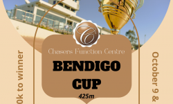 Quantity and Quality in Bendigo Cup heats Saturday night