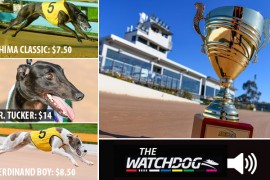 The Watchdog’s $50 ‘All In’ Bendigo Cup spend