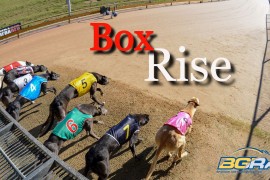 Box Rise latest edition