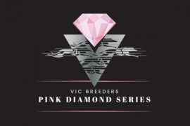 Stars to Shine Bright at Bendigo for Pink Diamond Heats