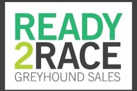 No Ready 2 Race auction in 2022